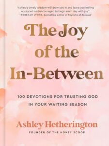 The Joy of the In-Between: 100 Devotions for Trusting God in Your Waiting Season