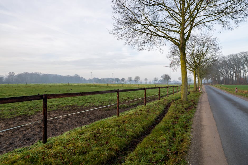 Morning Prayer - A Blessing for Our Nation Christian Movie Poster