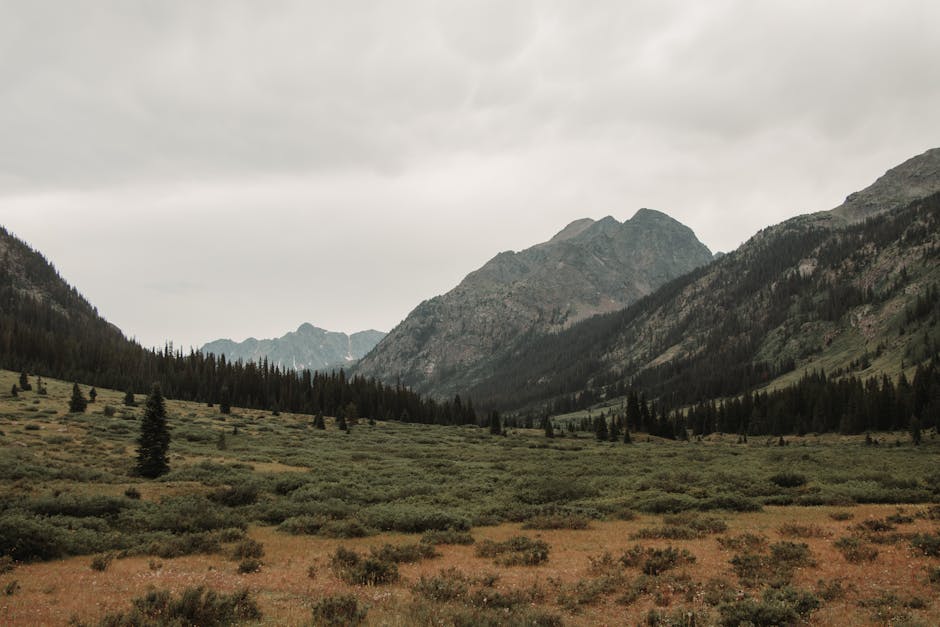 Morning Prayer - Enter, King of Glory Christian Movie Poster