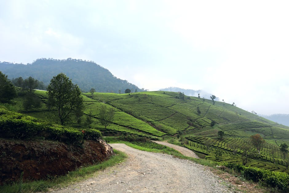 Morning Prayer - Follow Me Christian Movie Poster