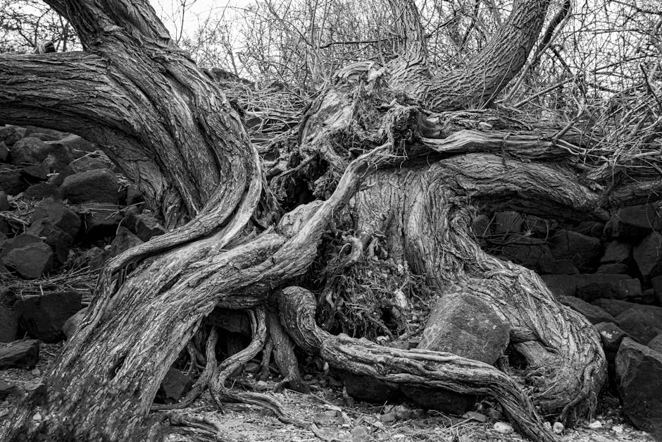 Morning Prayer - A Heart That Recognizes You Christian Movie Poster