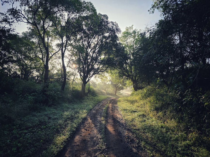Morning Prayer - When I Walk in Secret Christian Movie Poster