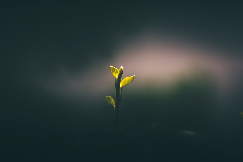 Morning Prayer - Rebirth in Your Spirit Christian Movie Poster